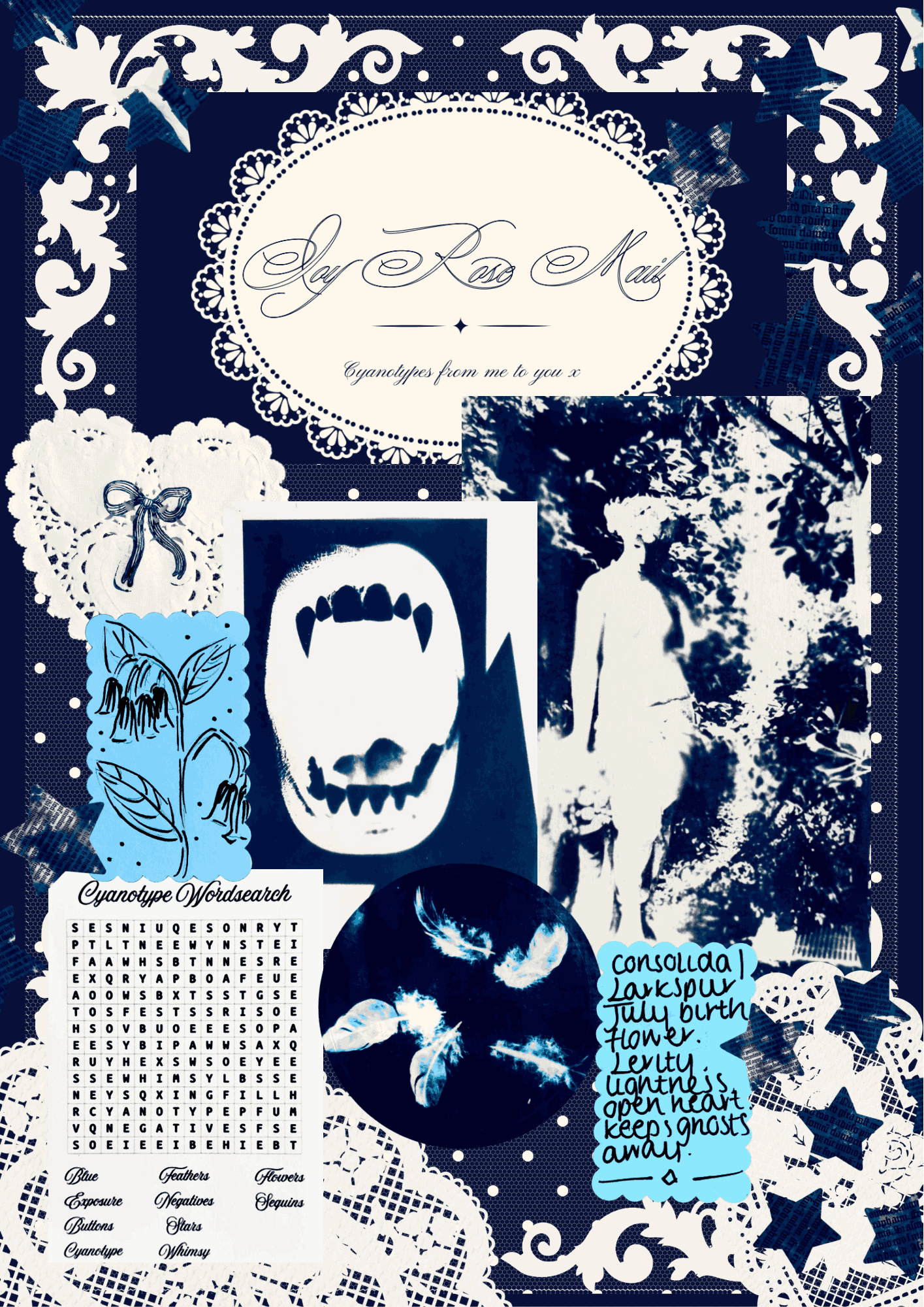 Joy Rose Mail — Monthly Cyanotype Subscription